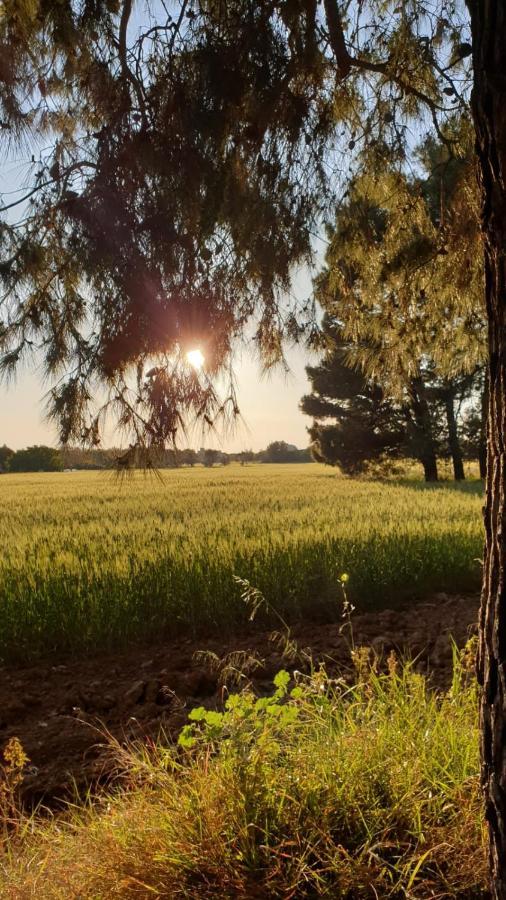 Masseria Vivi Il Salento Santa Caterina (Apulia) Exterior foto