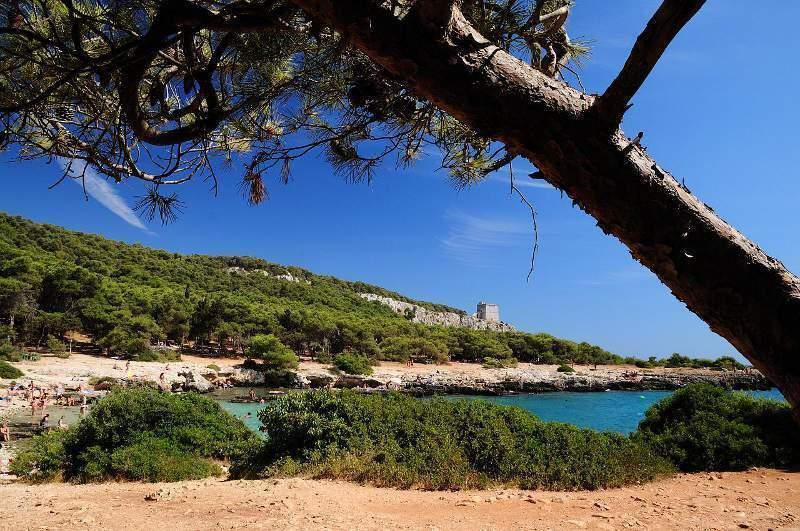 Masseria Vivi Il Salento Santa Caterina (Apulia) Quarto foto