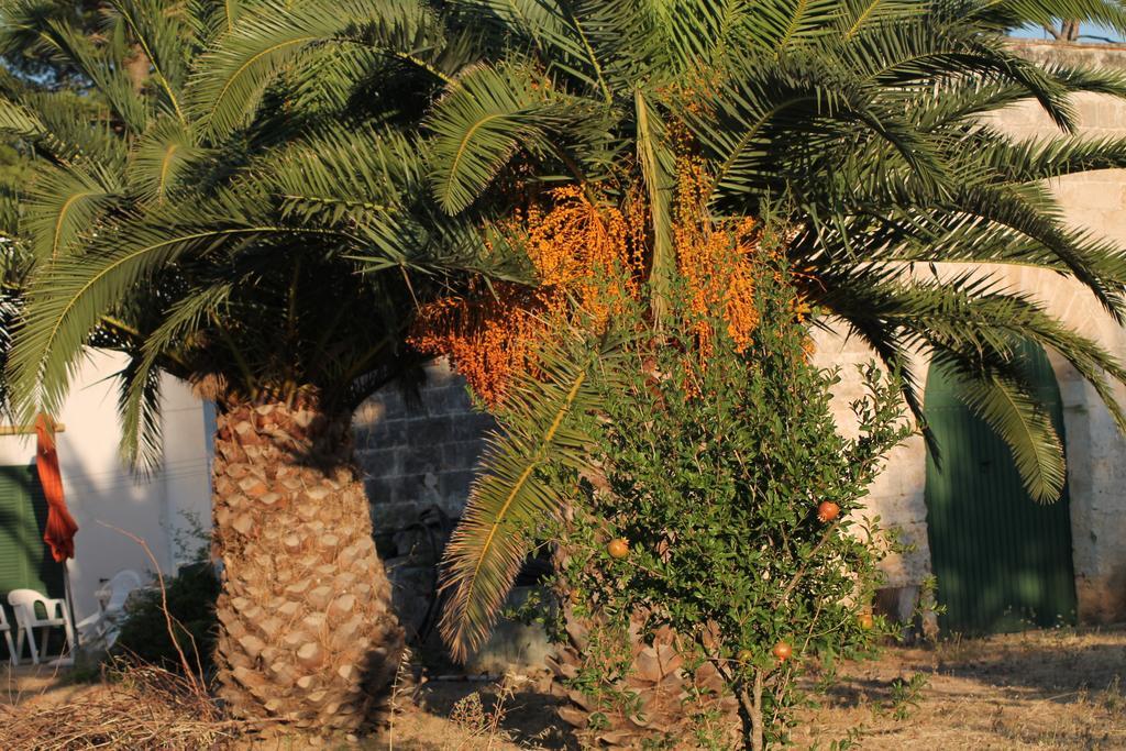 Masseria Vivi Il Salento Santa Caterina (Apulia) Quarto foto