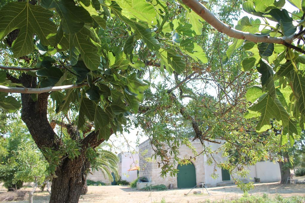 Masseria Vivi Il Salento Santa Caterina (Apulia) Quarto foto