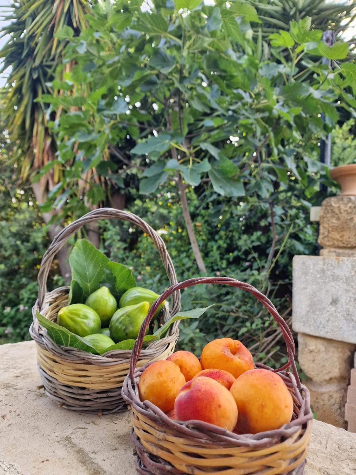 Masseria Vivi Il Salento Santa Caterina (Apulia) Exterior foto
