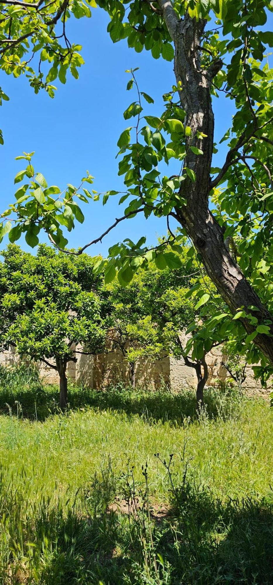 Masseria Vivi Il Salento Santa Caterina (Apulia) Exterior foto